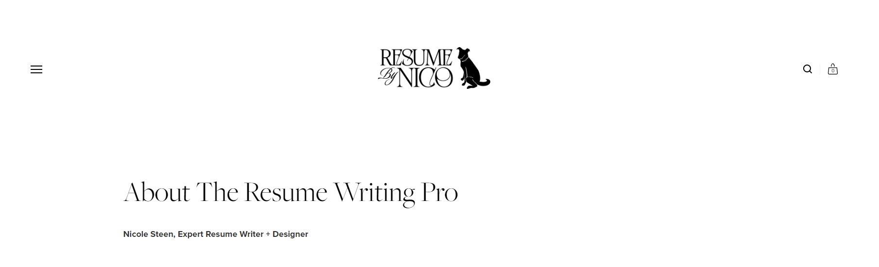 resume writing services in greensboro  resume by nico